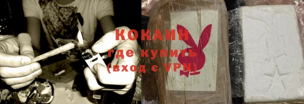 прущий лед Алзамай