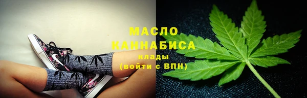 твердый Михайлов