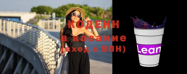 прущий лед Алзамай