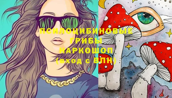 прущий лед Алзамай