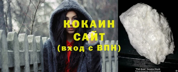 прущий лед Алзамай