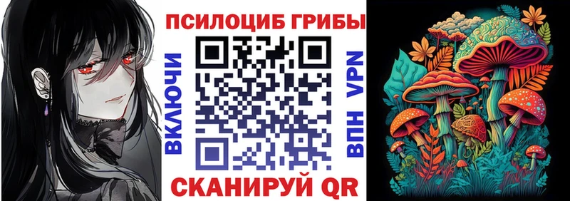 Галлюциногенные грибы Cubensis  Черкесск 